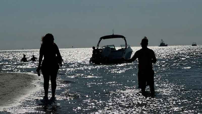 ShellKeyCool Shell Key Preserve / Sand Dollar Island